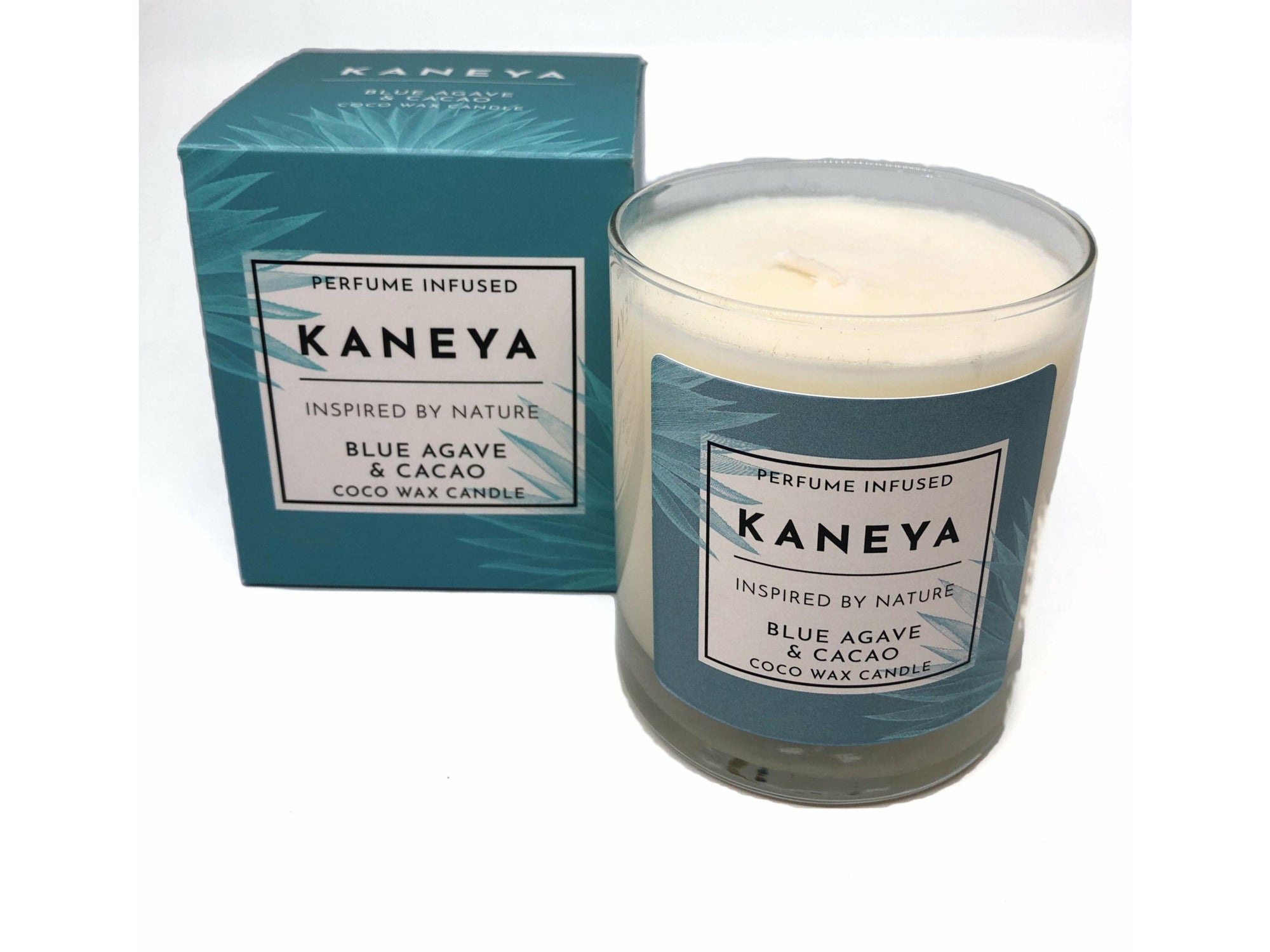 Blue Agave & Cacao Large Glass Scented Candle