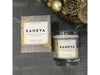 Winter's Tale Coco wax Candle