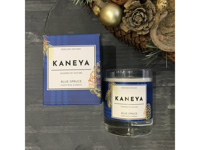 Blue Spruce Coco wax Candle