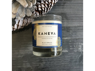 Blue Spruce Coco wax Candle